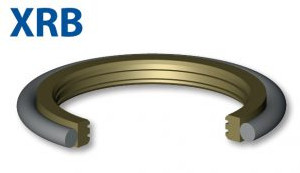 Double acting seal for rotating rod (XRB)